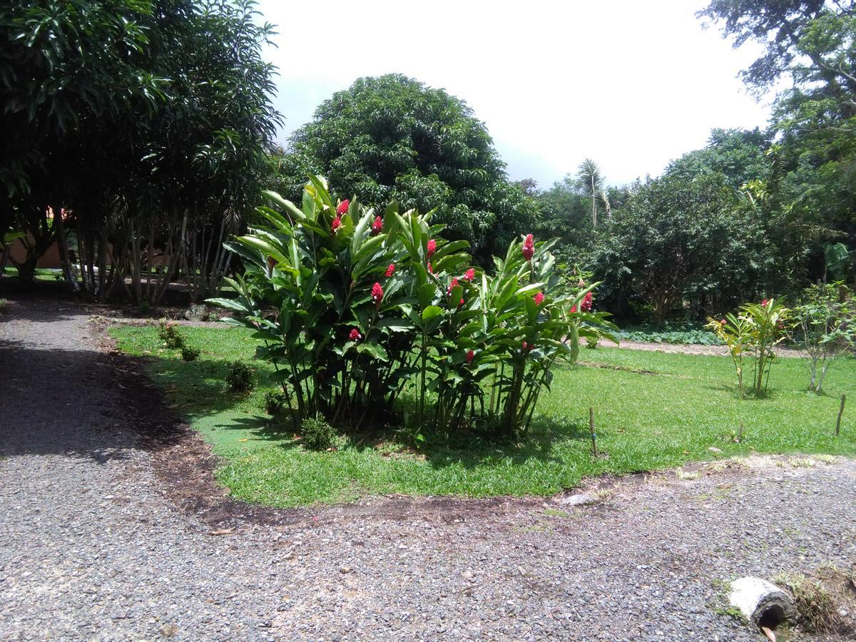 Paraiso Volcano Lodge Guayabo  Exteriér fotografie